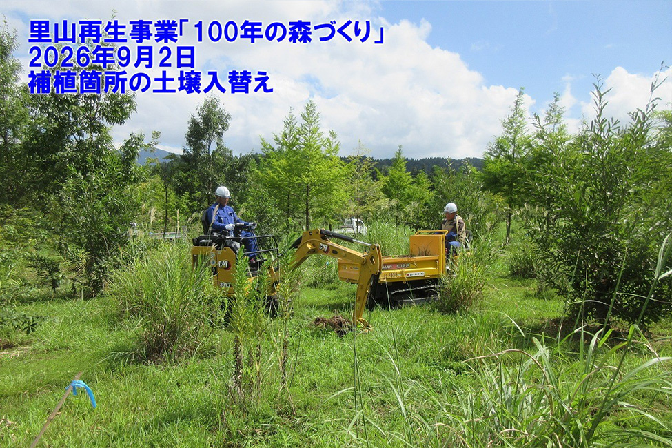 森林Ｊクレジットのプロジェクト登録に向けて準備中です。
