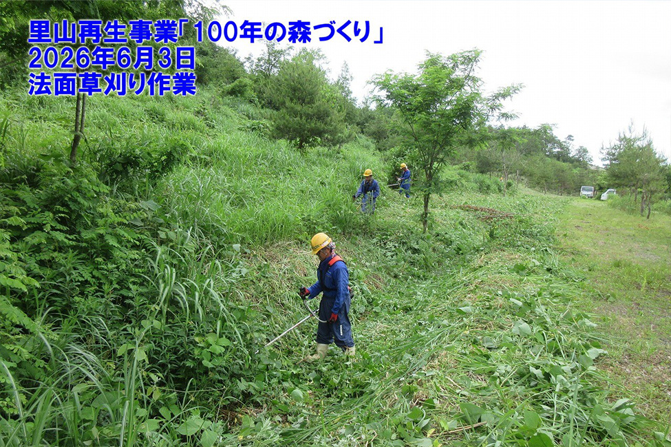 森林Ｊクレジットのプロジェクト登録に向けて準備中です。