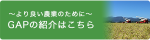 GLOBAL G.A.P. について