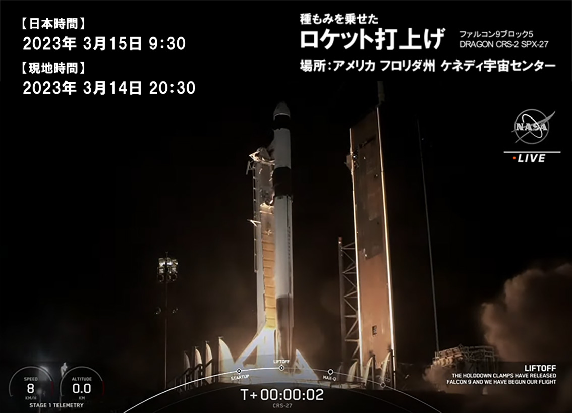 ロケット発射の様子