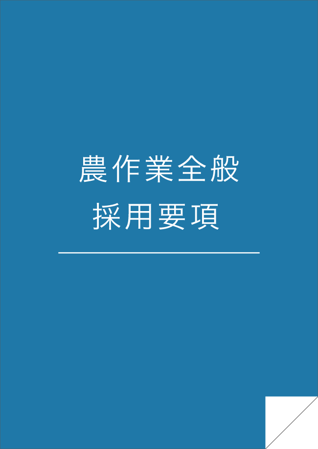 採用情報（新卒採用）