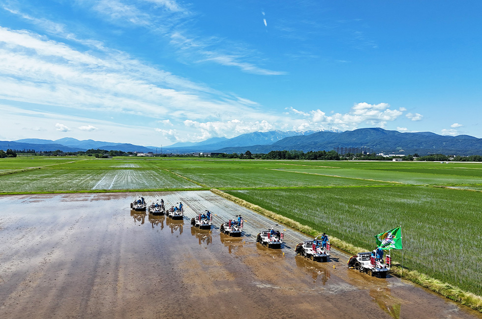 令和8年6月12日 田植えを行い340町歩を完了させました。