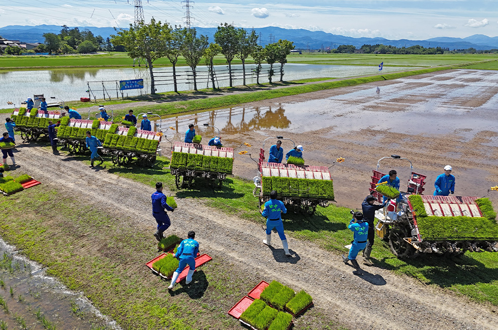 令和8年6月12日 田植えを行い340町歩を完了させました。