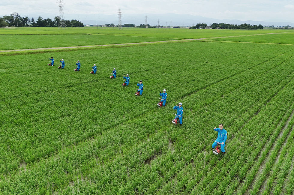 令和8年7月14日 江立て作業を行いました。